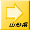 R`